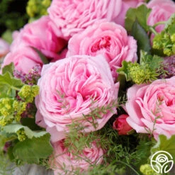 Parfuma® Summer Romance 27 Parfuma® Summer Romance -Heirloom Roses Summer Romance 14