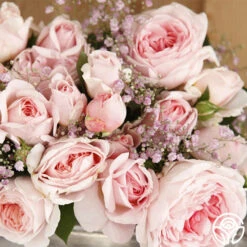 New Release -Heirloom Roses bliss parfuma 1 1