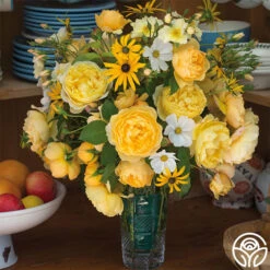 Charles Darwin® 9 Charles Darwin® -Heirloom Roses charles darwin 4 5