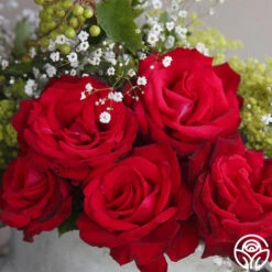 Sunbelt® Desmond Tutu -Heirloom Roses desmond tutu 1 5