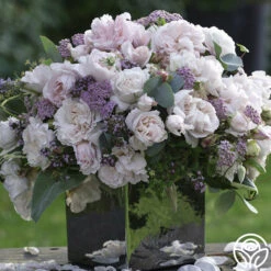 Parfuma® First Crush™ -Heirloom Roses first crush 5 1