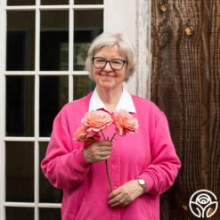 Reach For The Skies -Heirloom Roses reach for the skies 10 1